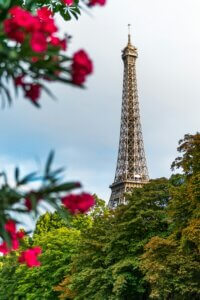 Learn French in Paris - French courses in Paris for adults