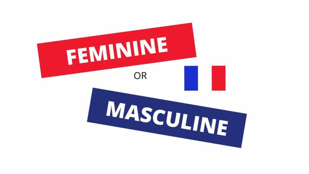 How to Learn the Gender of French Nouns Efficiently: Choose between Feminine and Masculine