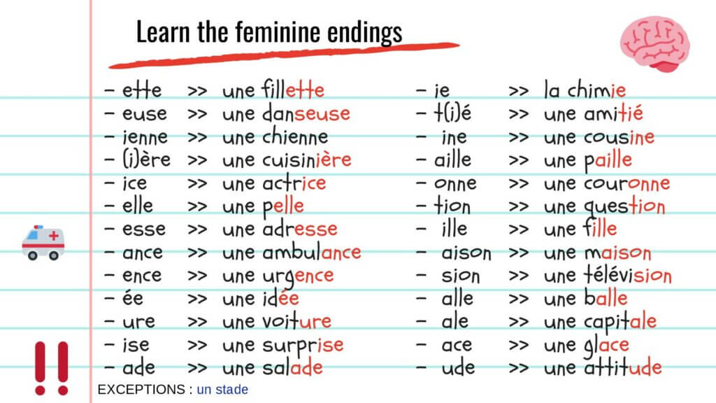 Learn the Feminine Endings of Nouns